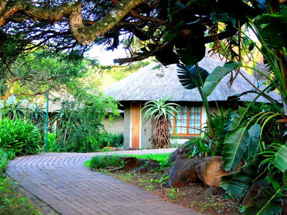 Ascot Bush Lodge Wensleydale Pietermaritzburg Kwazulu Natal South Africa House, Building, Architecture, Palm Tree, Plant, Nature, Wood, Garden