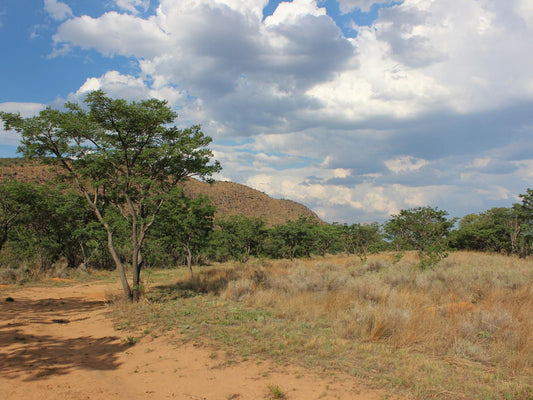 Asdia Wild, Desert, Nature, Sand, Lowland