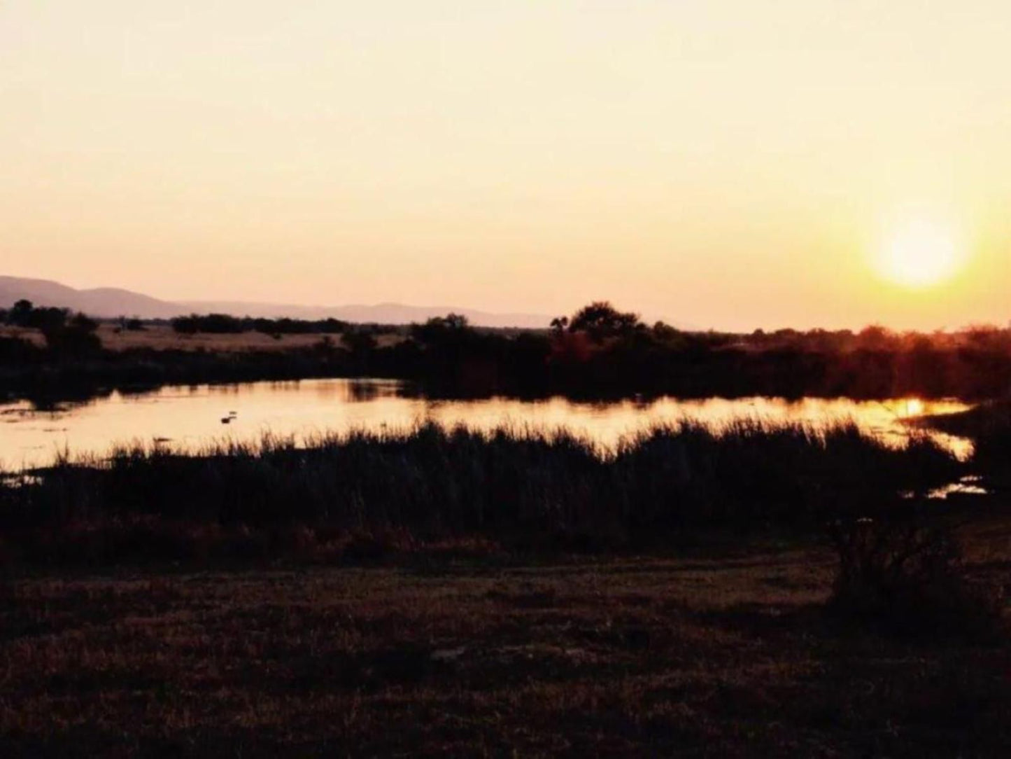 Asdia Wild, Sky, Nature, Sunset