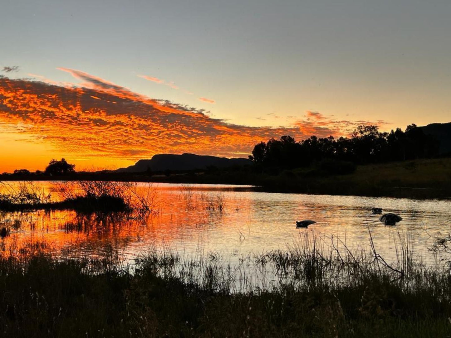 Asdia Wild, Sky, Nature, Sunset