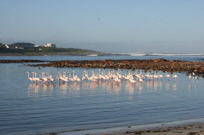 A Seaside Place Long Beach Kommetjie Cape Town Western Cape South Africa Beach, Nature, Sand