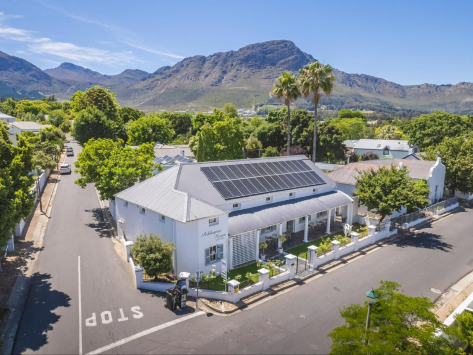 Ashbourne House Franschhoek Western Cape South Africa Complementary Colors, House, Building, Architecture, Palm Tree, Plant, Nature, Wood