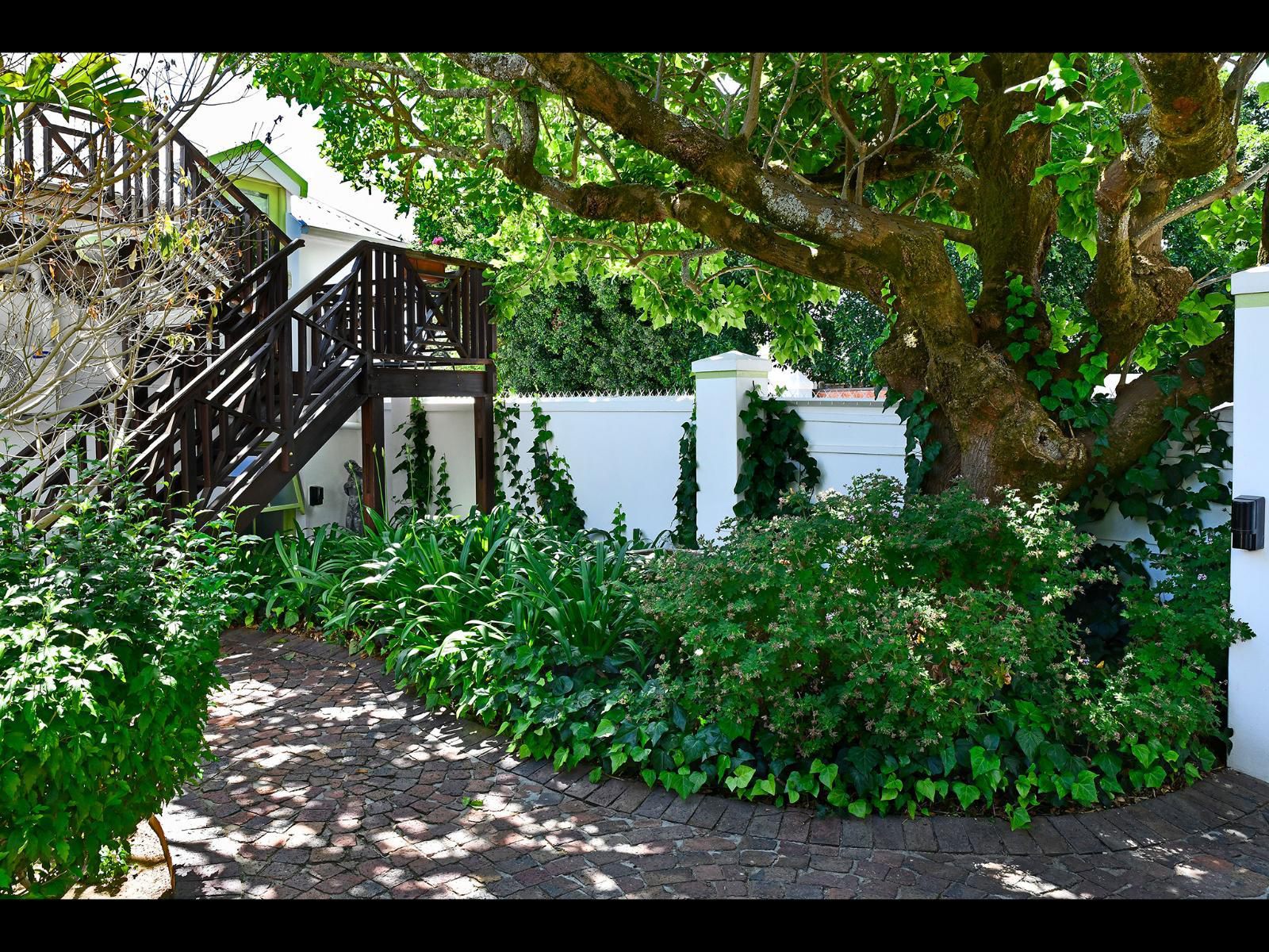 Ashbourne House Franschhoek Western Cape South Africa House, Building, Architecture, Plant, Nature, Tree, Wood, Garden