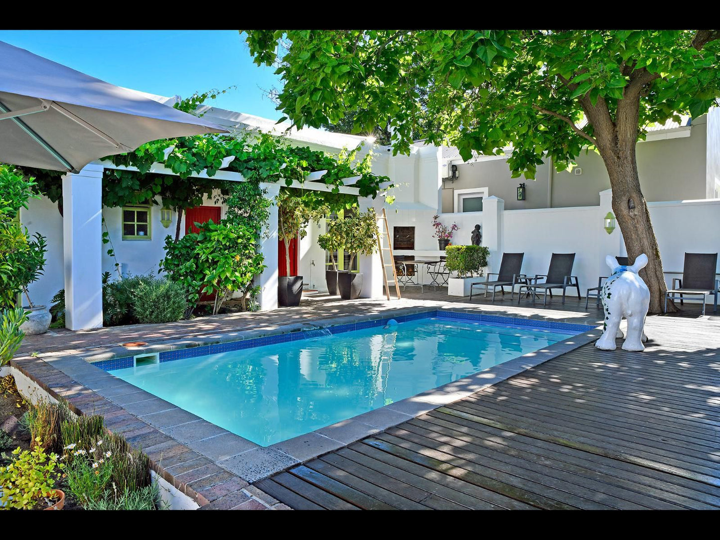 Ashbourne House Franschhoek Western Cape South Africa House, Building, Architecture, Palm Tree, Plant, Nature, Wood, Swimming Pool