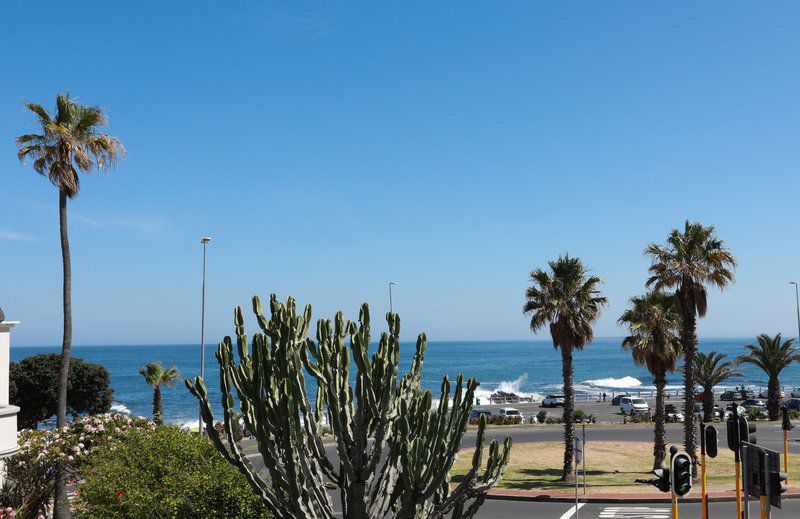 Ashby Holiday Accommodation Fresnaye Cape Town Western Cape South Africa Beach, Nature, Sand, Palm Tree, Plant, Wood