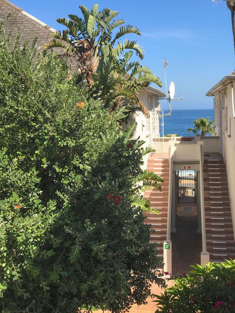 Ashby Holiday Accommodation Fresnaye Cape Town Western Cape South Africa Complementary Colors, Balcony, Architecture, Beach, Nature, Sand, House, Building, Palm Tree, Plant, Wood, Framing, Garden