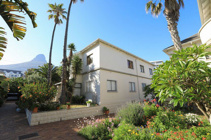 Ashby Holiday Accommodation Fresnaye Cape Town Western Cape South Africa Complementary Colors, House, Building, Architecture, Palm Tree, Plant, Nature, Wood