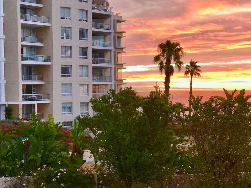 Ashby Holiday Accommodation Fresnaye Cape Town Western Cape South Africa Beach, Nature, Sand, Palm Tree, Plant, Wood, Sky, Sunset