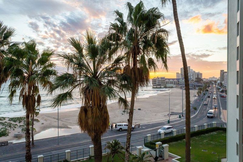 Ashley On Beach 408 Strand Western Cape South Africa Beach, Nature, Sand, Palm Tree, Plant, Wood, Sunset, Sky