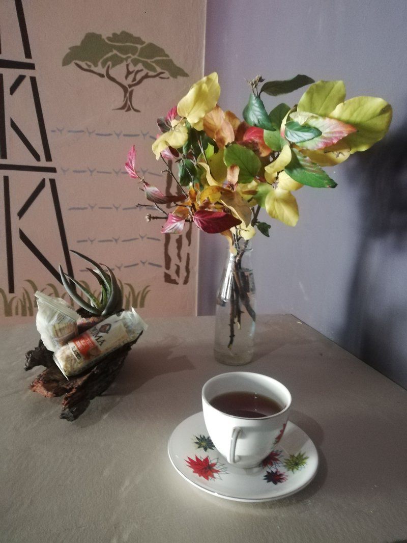Ashtree Guest House Hanover Northern Cape South Africa Bouquet Of Flowers, Flower, Plant, Nature, Cup, Drinking Accessoire, Drink