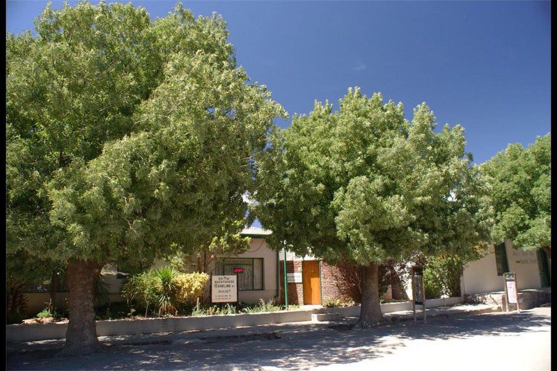 Ashtree Guest House Hanover Northern Cape South Africa Complementary Colors, House, Building, Architecture, Plant, Nature