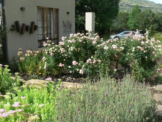 Aspen Guest House Clarens Free State South Africa Blossom, Plant, Nature, House, Building, Architecture, Meadow, Garden