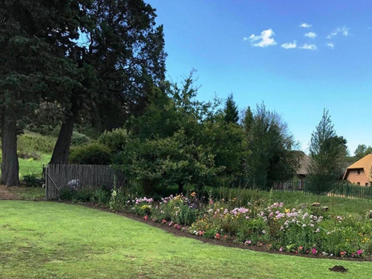 Aspen Guest House Clarens Free State South Africa Complementary Colors, Plant, Nature, Garden