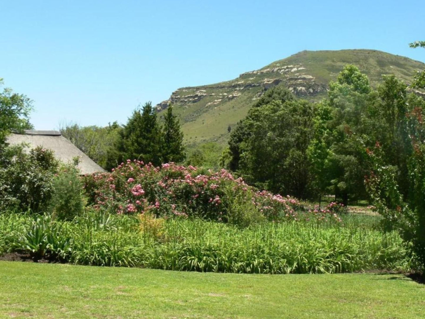 Aspen Guest House Clarens Free State South Africa Complementary Colors, Garden, Nature, Plant, Highland