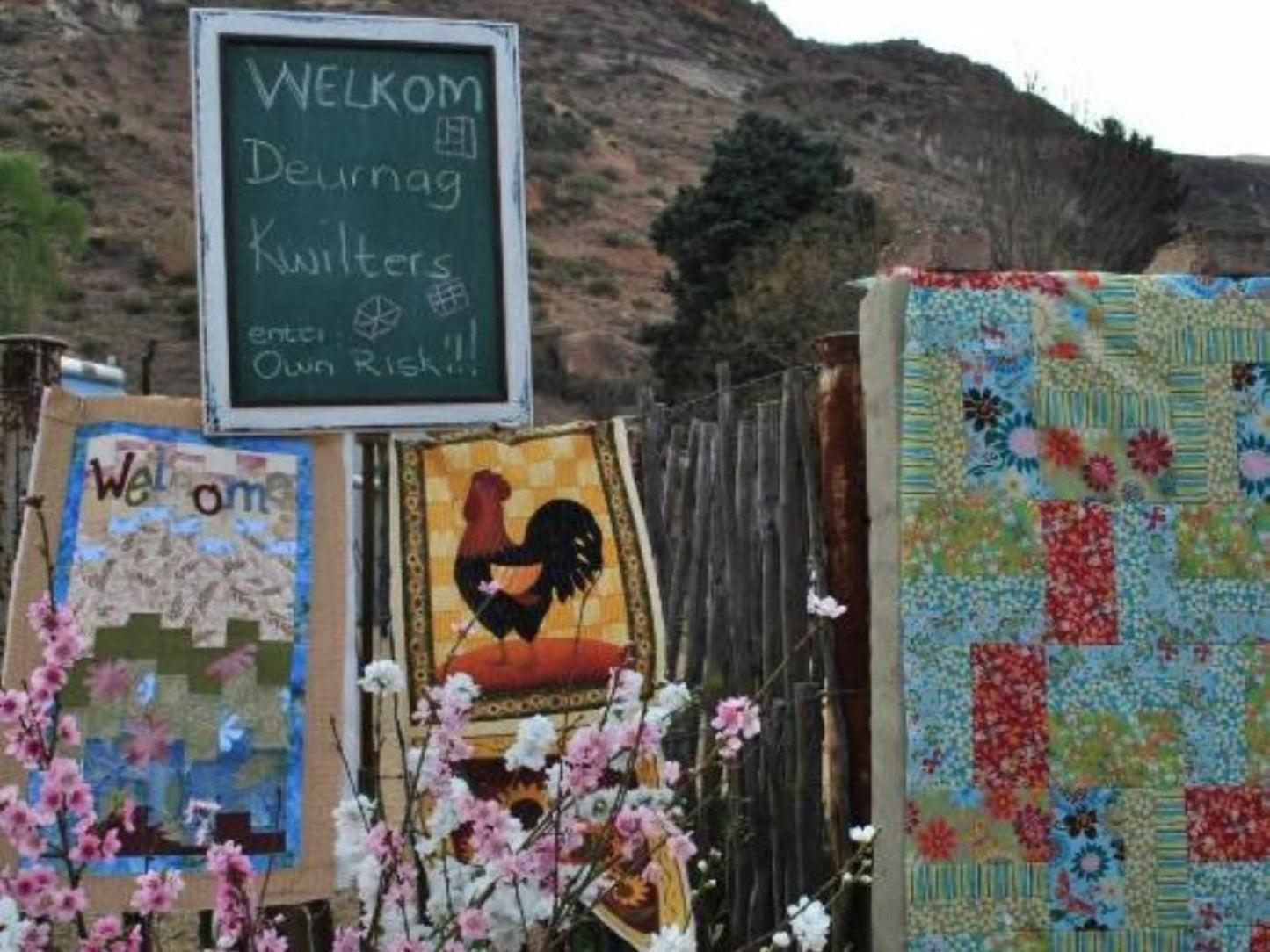 Aspen Guest House Clarens Free State South Africa Cactus, Plant, Nature, Sign, Text, Wall, Architecture, Painting, Art