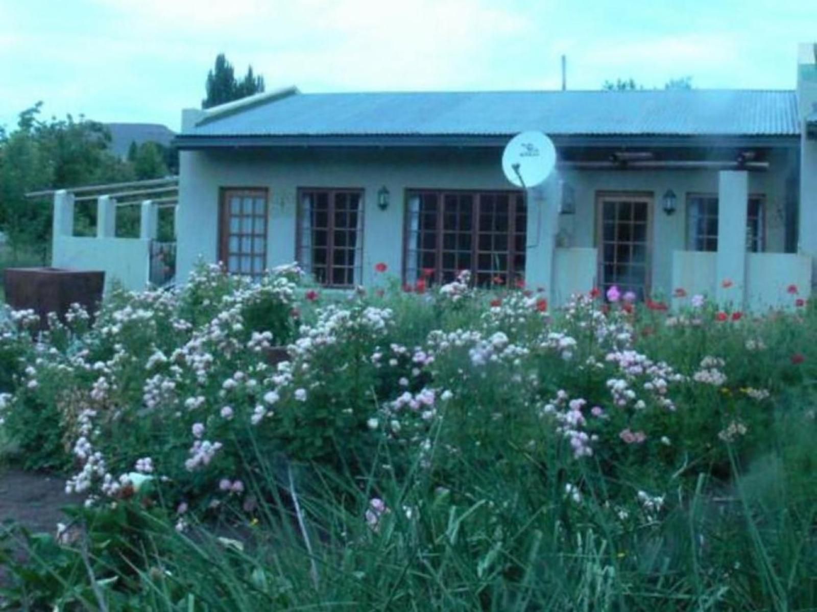 Aspen Guest House Clarens Free State South Africa Colorful, House, Building, Architecture