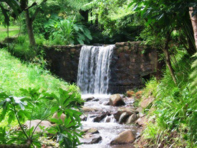 Assagay Lodge Assagay Durban Kwazulu Natal South Africa River, Nature, Waters, Waterfall, Garden, Plant
