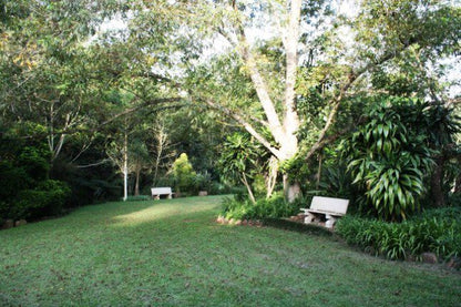 Assagay Lodge Assagay Durban Kwazulu Natal South Africa Forest, Nature, Plant, Tree, Wood, Palm Tree