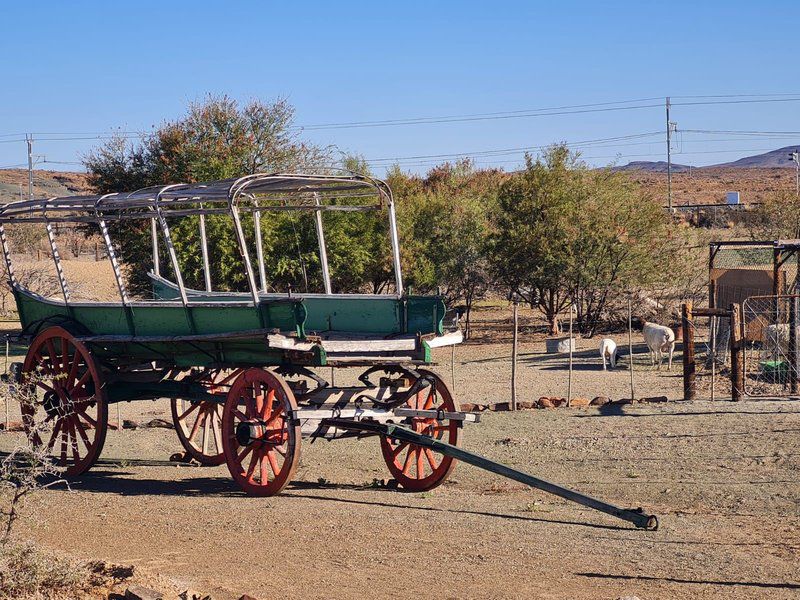 Assendelft Lodge And Bush Camp Prince Albert Western Cape South Africa Complementary Colors, Vehicle