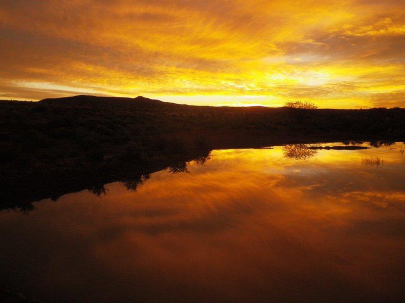 Assendelft Lodge And Bush Camp Prince Albert Western Cape South Africa Colorful, Sky, Nature, Sunset