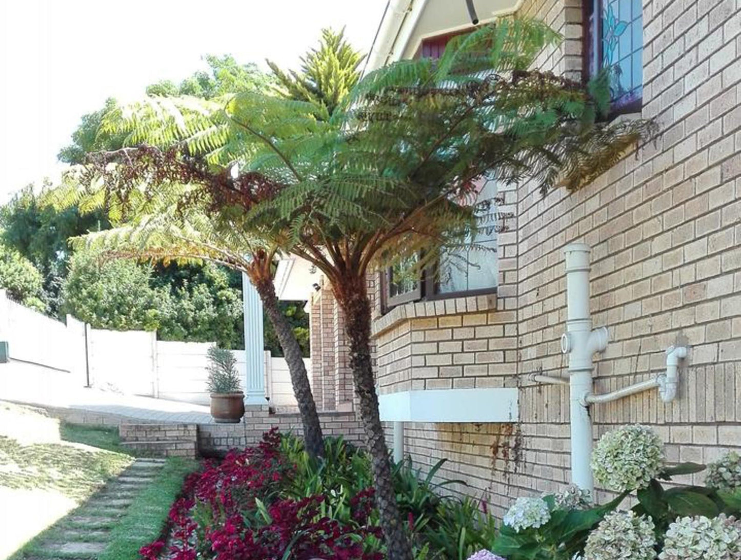 Astral Guest House Wilderness Western Cape South Africa House, Building, Architecture, Palm Tree, Plant, Nature, Wood, Garden
