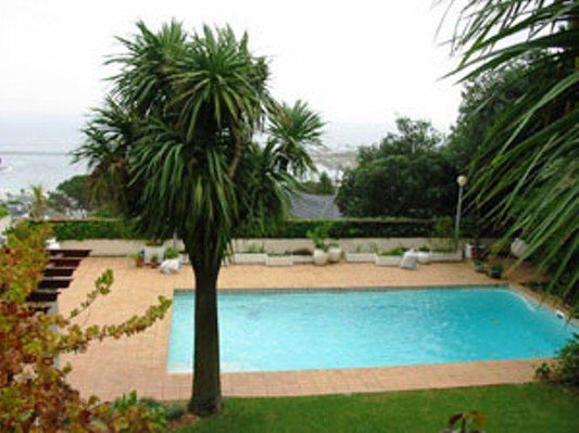 Astris Apartment Camps Bay Cape Town Western Cape South Africa Palm Tree, Plant, Nature, Wood, Garden, Swimming Pool