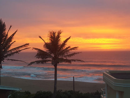 At Dom S Bandb Zimbali Coastal Estate Ballito Kwazulu Natal South Africa Beach, Nature, Sand, Palm Tree, Plant, Wood, Ocean, Waters, Sunset, Sky