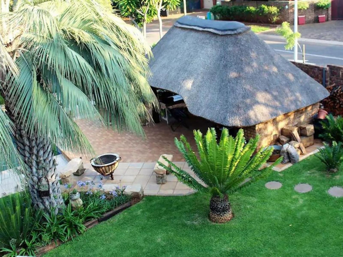 Home In The East Garsfontein Pretoria Tshwane Gauteng South Africa Palm Tree, Plant, Nature, Wood, Garden