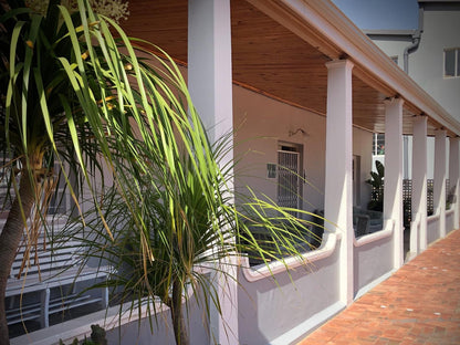 At The Loerie Knysna Central Knysna Western Cape South Africa House, Building, Architecture, Palm Tree, Plant, Nature, Wood