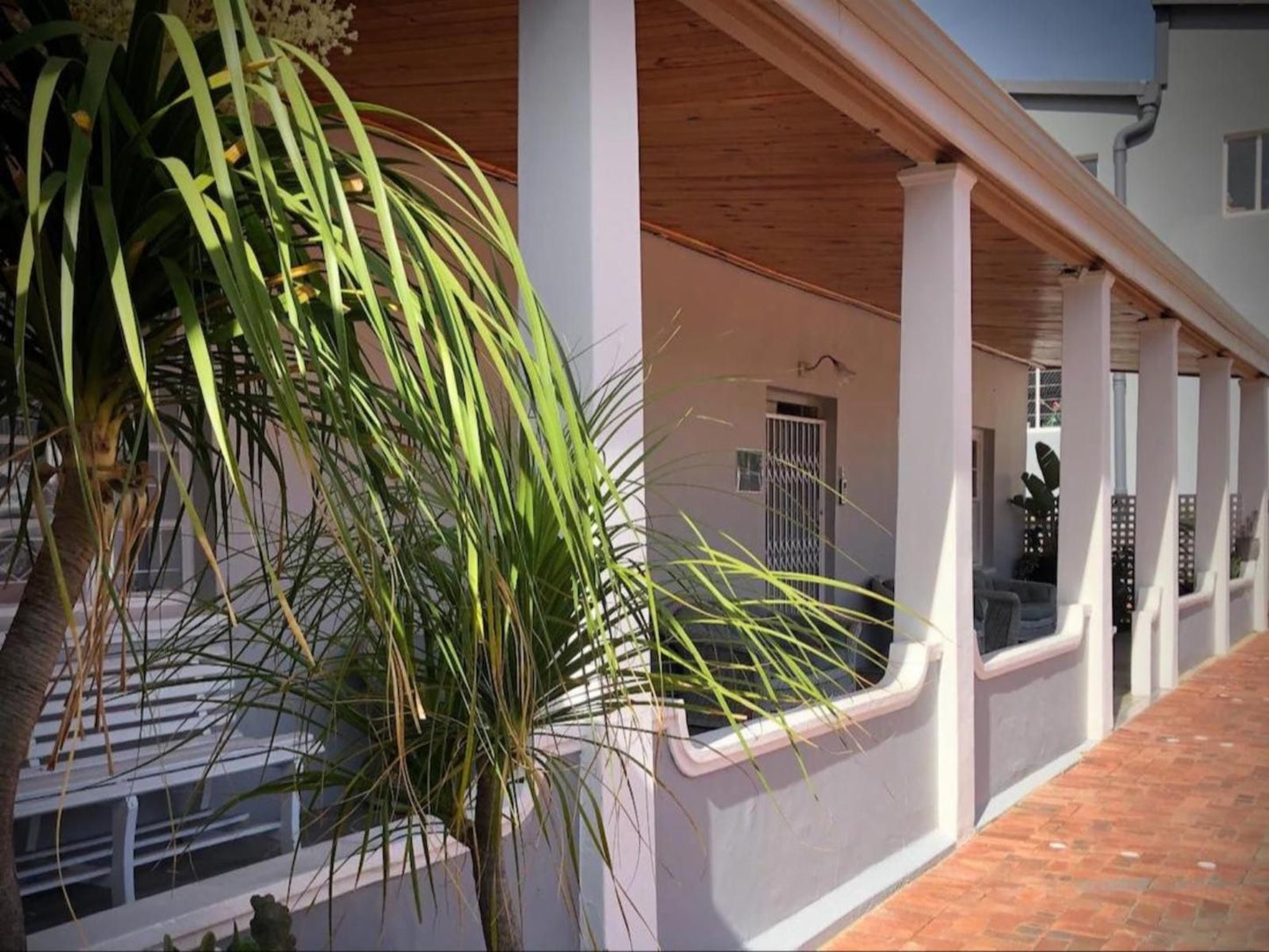 At The Loerie Knysna Central Knysna Western Cape South Africa House, Building, Architecture, Palm Tree, Plant, Nature, Wood