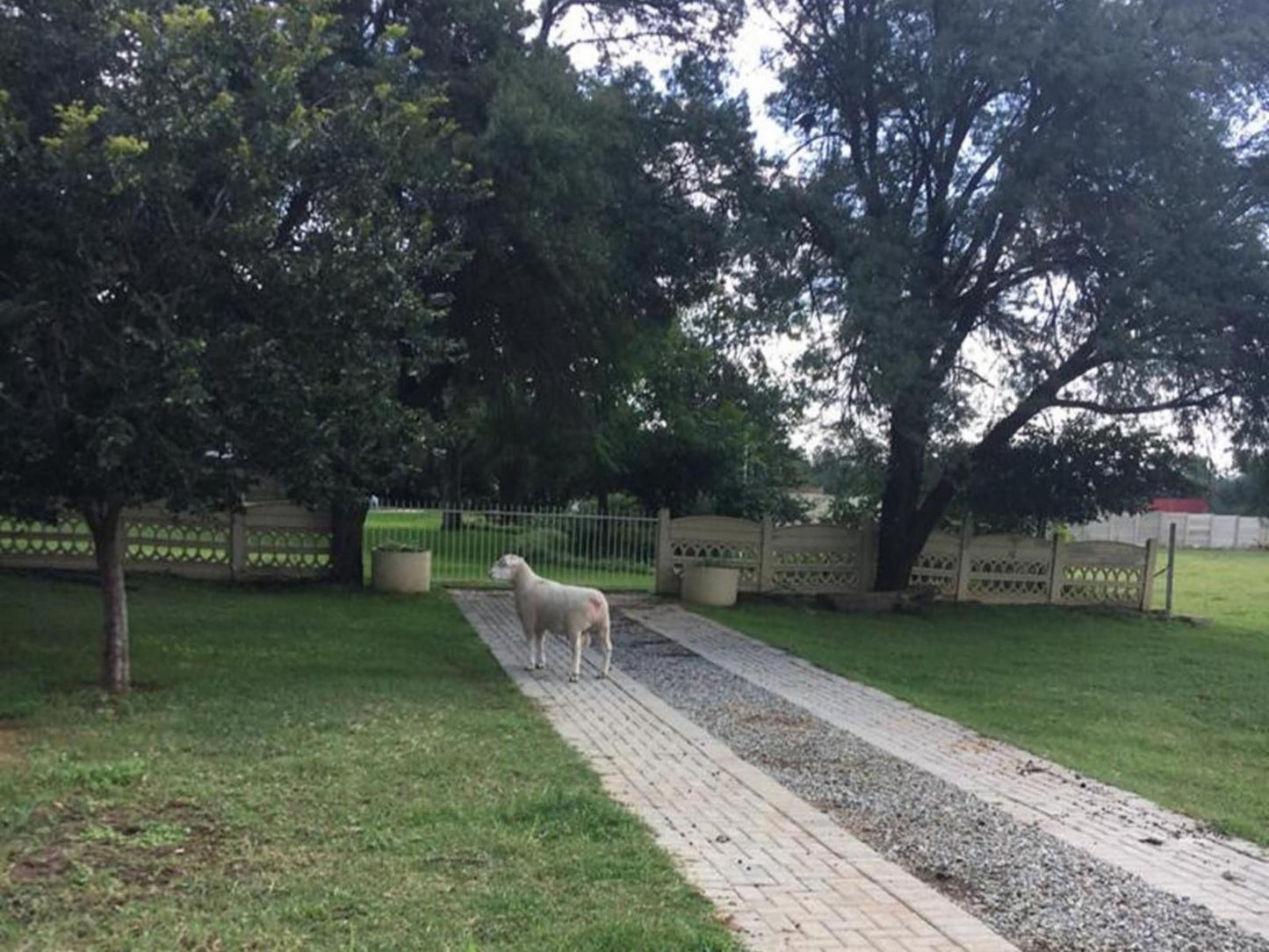 At The River Guest House Kroonstad Free State South Africa Animal, Cemetery, Religion, Grave