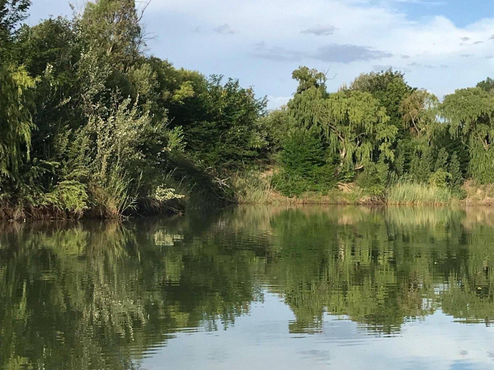 At The River Guest House Kroonstad Free State South Africa Complementary Colors, River, Nature, Waters, Tree, Plant, Wood