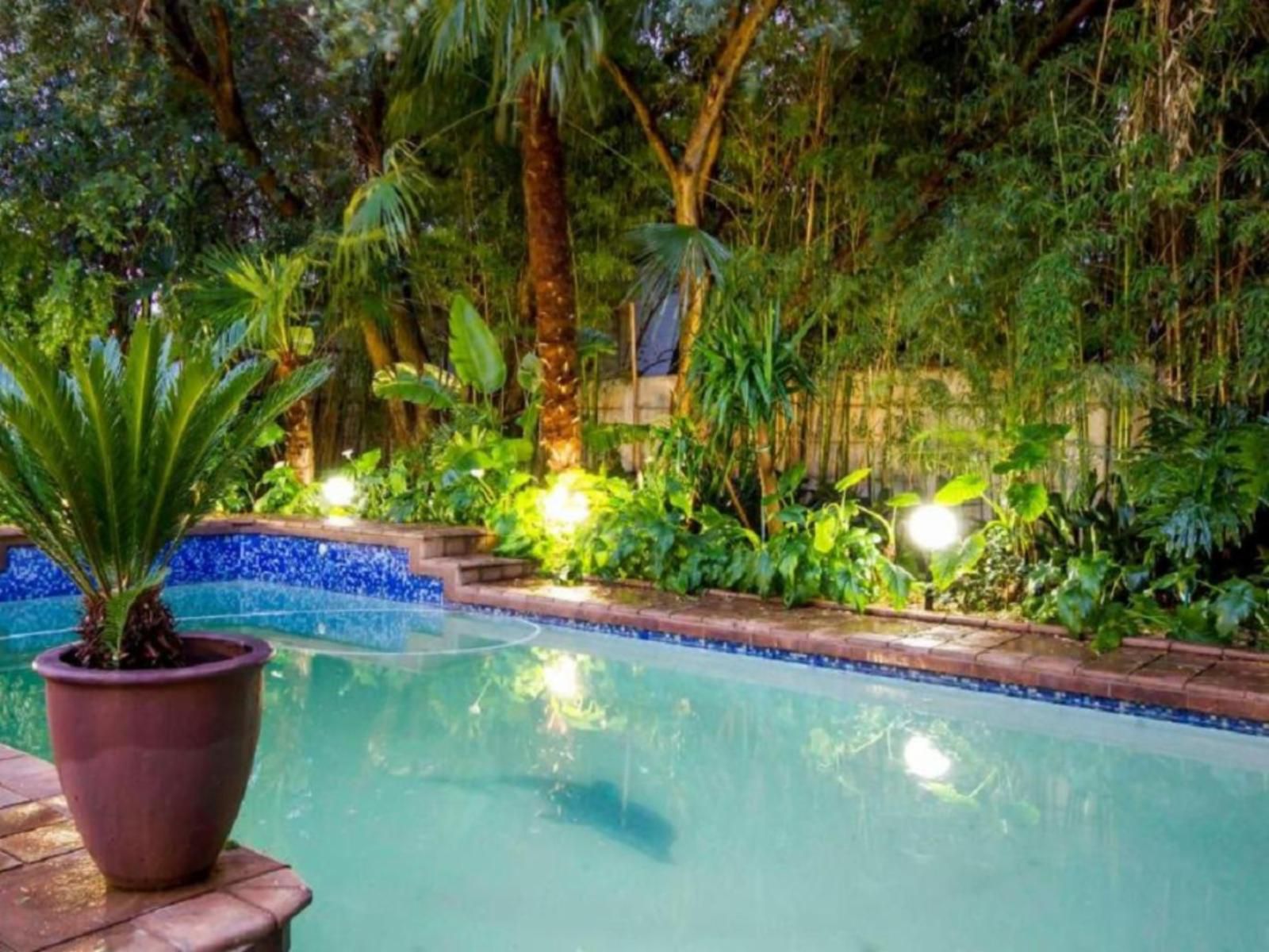 The Villa Guest House Bayswater Bloemfontein Free State South Africa Complementary Colors, Palm Tree, Plant, Nature, Wood, Garden, Swimming Pool