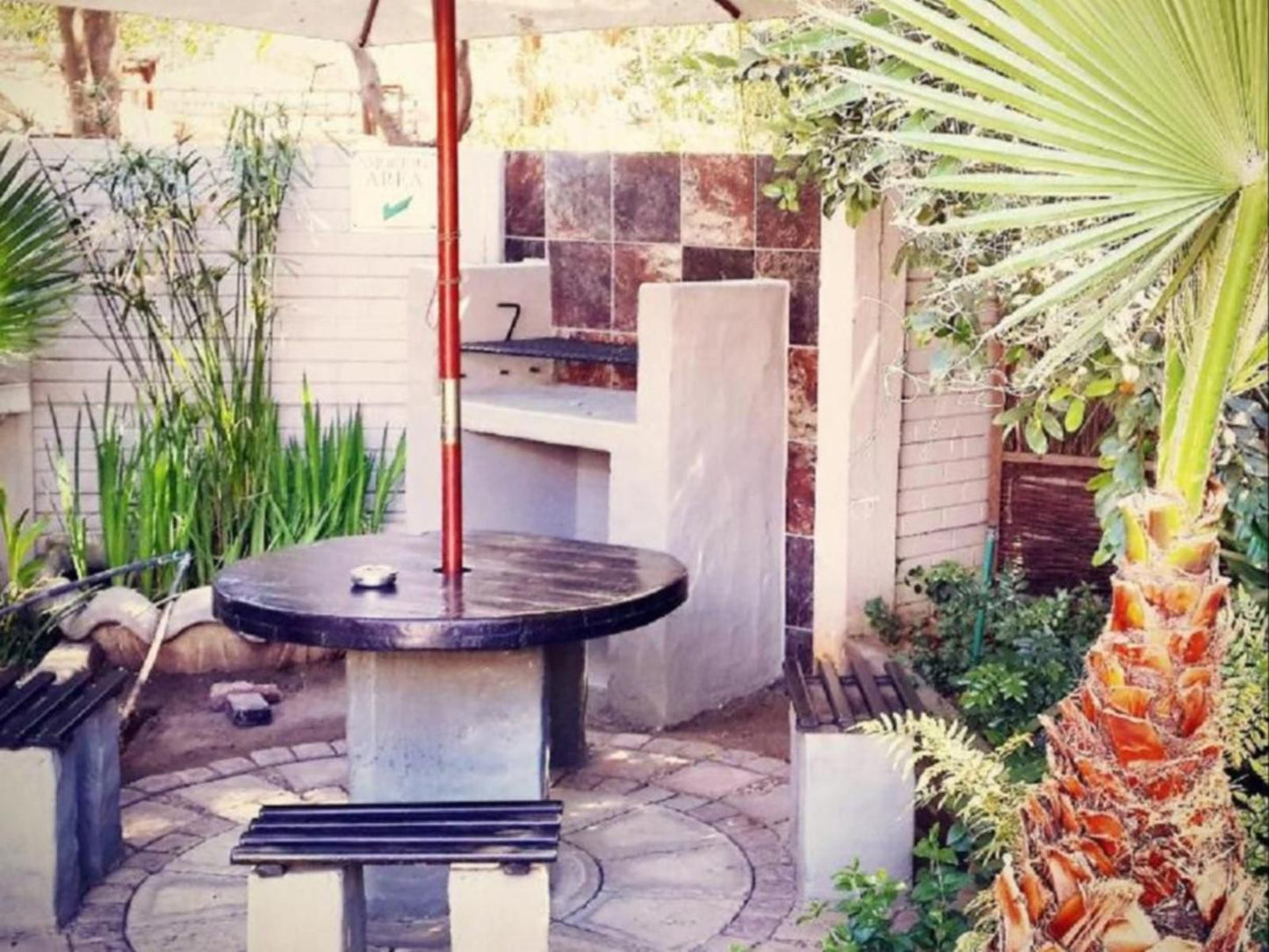 The Villa Guest House Bayswater Bloemfontein Free State South Africa Palm Tree, Plant, Nature, Wood, Garden