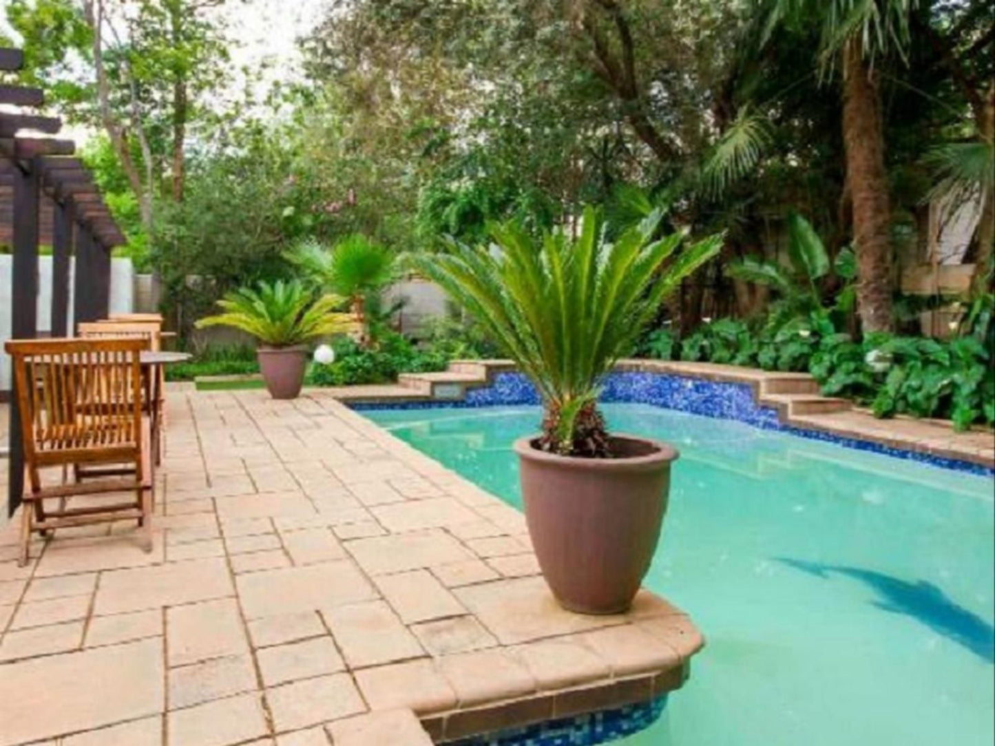 The Villa Guest House Bayswater Bloemfontein Free State South Africa Complementary Colors, Palm Tree, Plant, Nature, Wood, Garden, Swimming Pool
