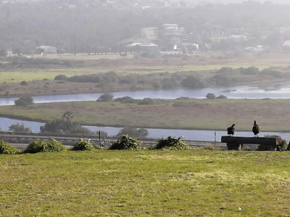 At 29 Columba Great Brak River Western Cape South Africa Nature