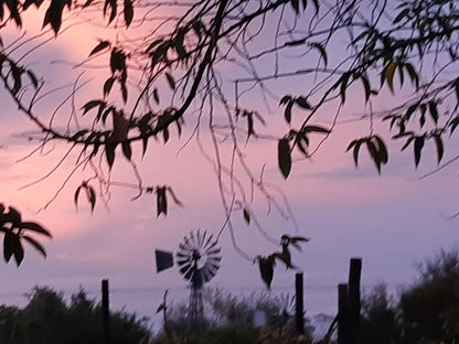 At 85 On Church Prince Albert Western Cape South Africa Silhouette, Nature, Sunset, Sky