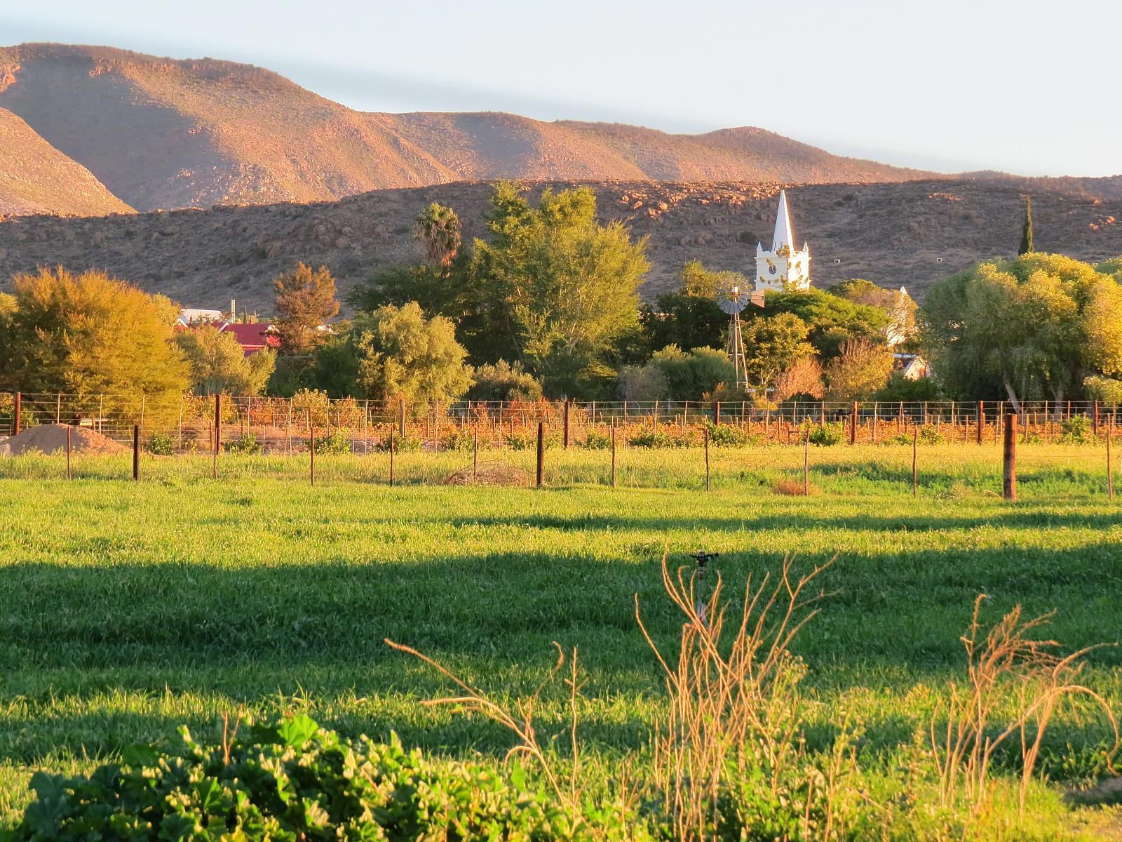 At 85 On Church Prince Albert Western Cape South Africa Field, Nature, Agriculture, Church, Building, Architecture, Religion