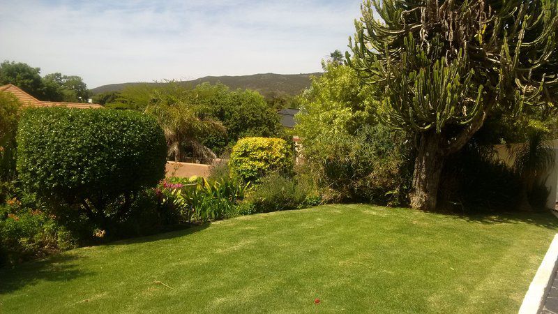 A Taste Of Heaven Bredasdorp Western Cape South Africa Palm Tree, Plant, Nature, Wood, Garden