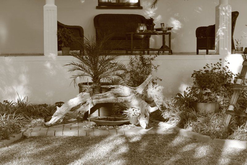 At De Oude Herberg Country Lodge Kenhardt Northern Cape South Africa Sepia Tones, Palm Tree, Plant, Nature, Wood