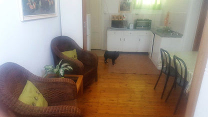 At De Oude Herberg Country Lodge Kenhardt Northern Cape South Africa Cat, Mammal, Animal, Pet, Dog, Living Room