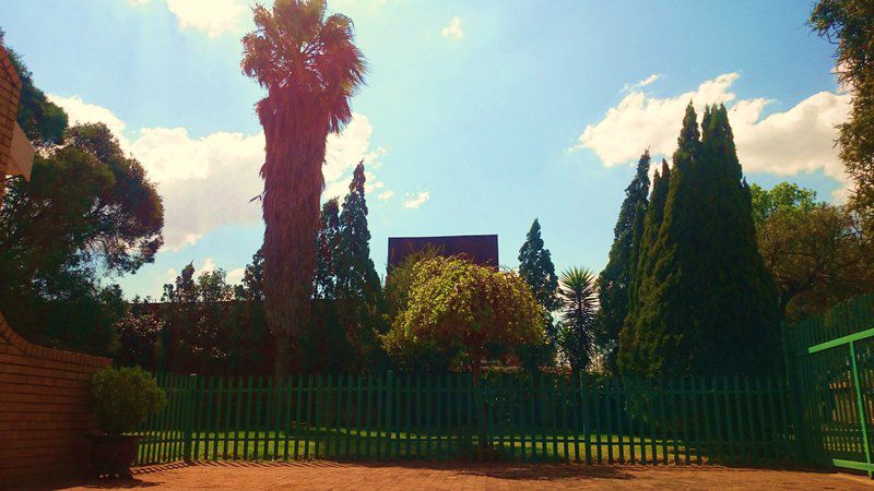 Atherstone Guesthouse Vanderbijlpark Gauteng South Africa Palm Tree, Plant, Nature, Wood