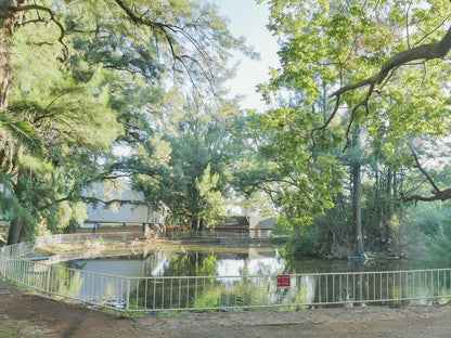 Atkv Buffelspoort Buffelspoort North West Province South Africa Boat, Vehicle, River, Nature, Waters, Tree, Plant, Wood