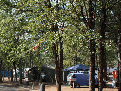 Atkv Eiland Spa Letsitele Limpopo Province South Africa Forest, Nature, Plant, Tree, Wood, Tent, Architecture, Car, Vehicle