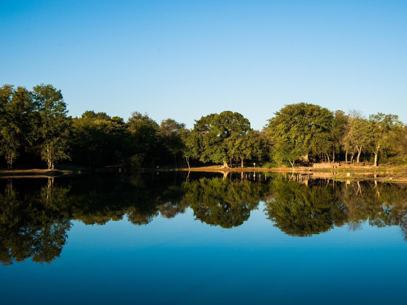 Atkv Eiland Spa Letsitele Limpopo Province South Africa Complementary Colors, River, Nature, Waters, Tree, Plant, Wood