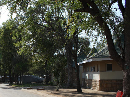 Atkv Eiland Spa Letsitele Limpopo Province South Africa House, Building, Architecture, Plant, Nature, Tree, Wood