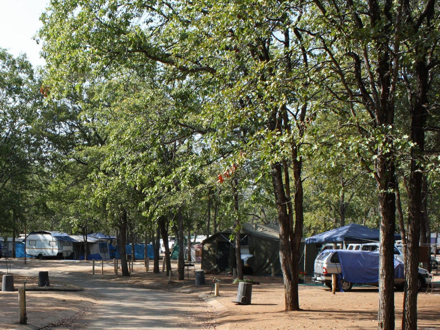 Atkv Eiland Spa Letsitele Limpopo Province South Africa Tent, Architecture, Tree, Plant, Nature, Wood, Car, Vehicle