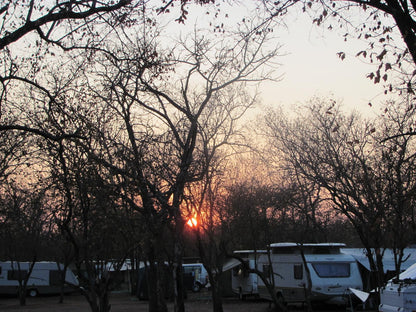 Atkv Eiland Spa Letsitele Limpopo Province South Africa Sky, Nature, Sunset