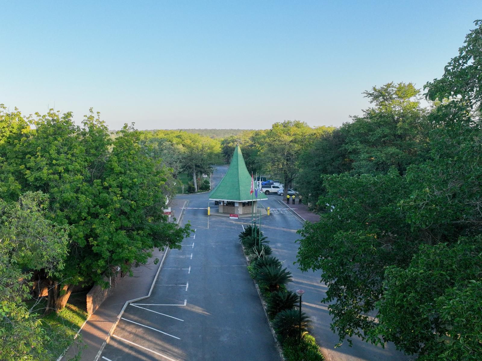 Atkv Eiland Spa Letsitele Limpopo Province South Africa Tree, Plant, Nature, Wood