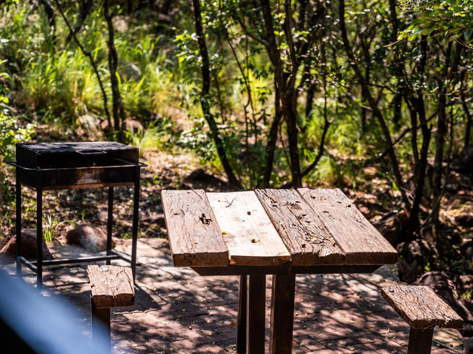 Atkv Klein-Kariba, 2 Sleeper Room (B&B), Forest, Nature, Plant, Tree, Wood